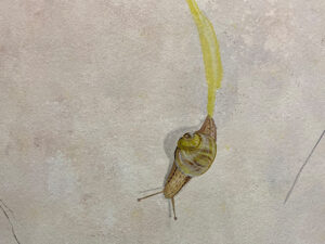 01_UJStartseite Chemowand Intro 1024x768px